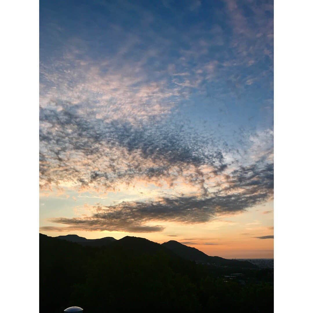 小野りりあんさんのインスタグラム写真 - (小野りりあんInstagram)「久しぶりに札幌にかえったよ🍃 景色に空気に…馴染みがありすぎて地に足がついた感覚🦶  クワノミは、美味しすぎて手が止まらず🍇みつけたらよじ登ってでも食べました😅  美味しい空気をいっぱい肌に吸収して…ありがとう札幌💕  #また8月にね」6月25日 10時03分 - _lillianono_