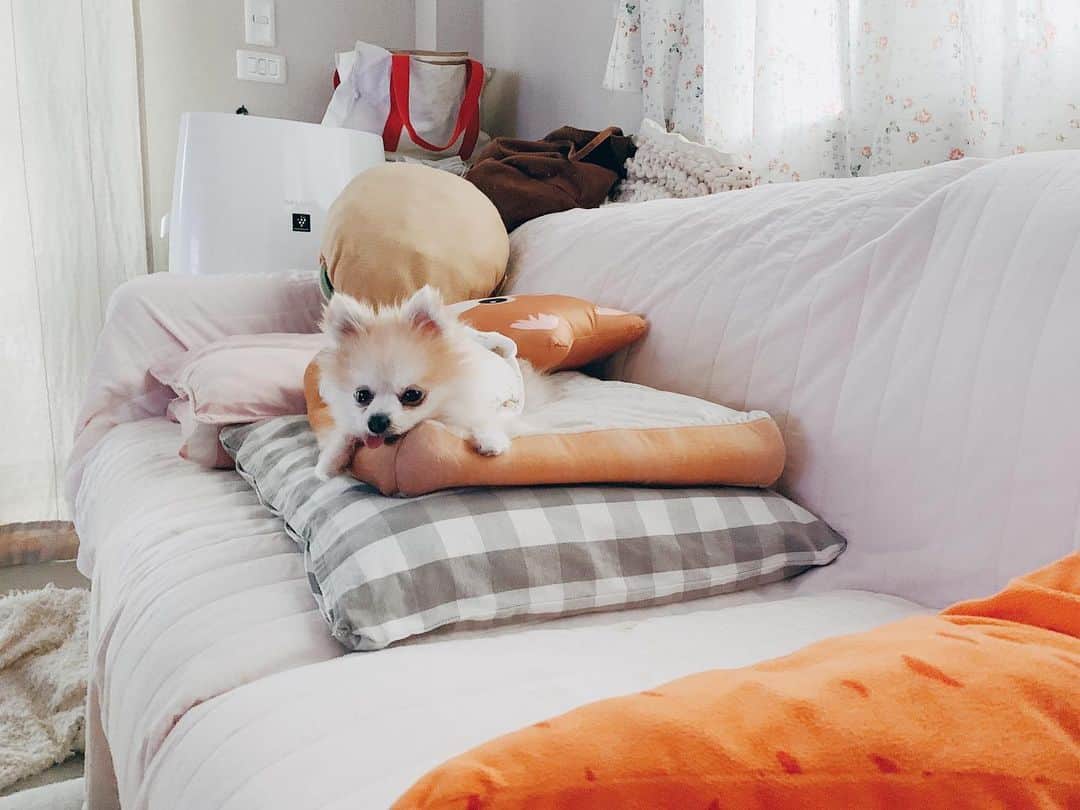r_oseのインスタグラム：「Too cute to handle 🐰〰️」