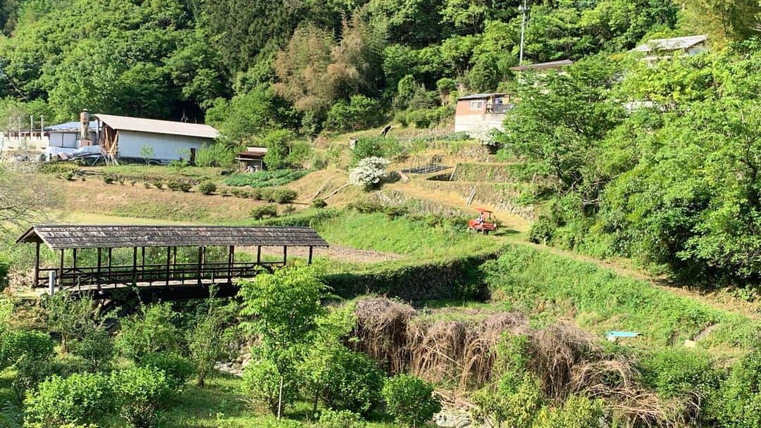 高岡薫さんのインスタグラム写真 - (高岡薫Instagram)「ゴールデンウィークに愛媛の観光をしたので載せます！(大遅刻)  田丸橋！愛媛県の内子町にある5つの屋根付橋の1つです！ ドラマ「坂の上の雲」のロケ地です！！ 自然に囲まれて、とても落ち着く場所です！すごくお気に入りの場所…！ #田丸橋 #屋根付橋 #るんばの愛媛紹介」6月25日 10時50分 - kaorumba1129