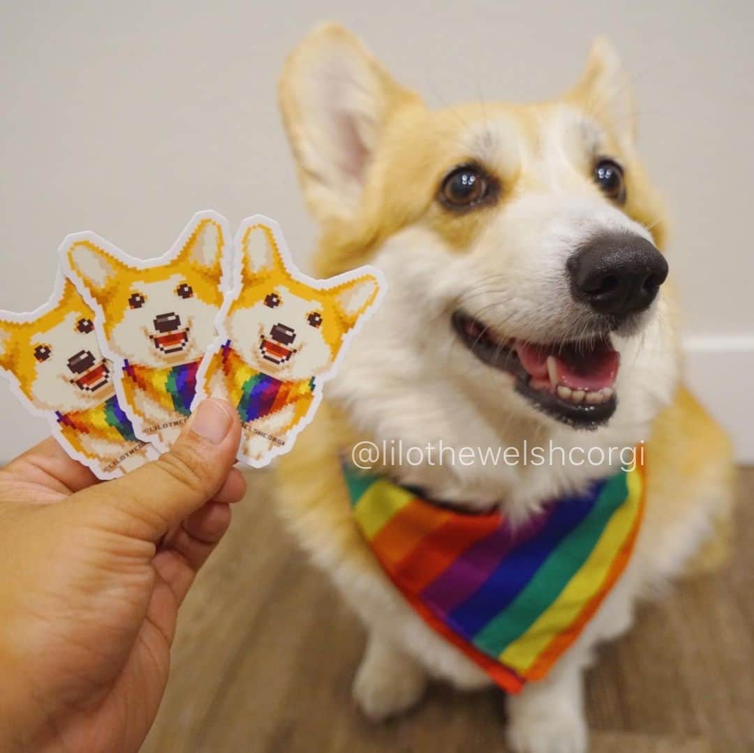 Liloさんのインスタグラム写真 - (LiloInstagram)「Is everyone ready for paw-ride woof? I’m ready with my 🌈 rainbow bandana! ⠀⠀ GIVEAWAY TIME ⠀⠀ Want one of these paw-ride stickers? Like AND comment this picture for a chance to win one woof. Extra entry if comment what you’re proud of... it can be anything woof! Tag your friends for more entries (1 extra entry per tagged friend.) *US/Canada* ends july #pride ⠀⠀ RULES:  1 entry like AND comment  1 entry for why you have pride  1+ for each friend you tag No hate allowed」6月25日 11時23分 - lilothewelshcorgi