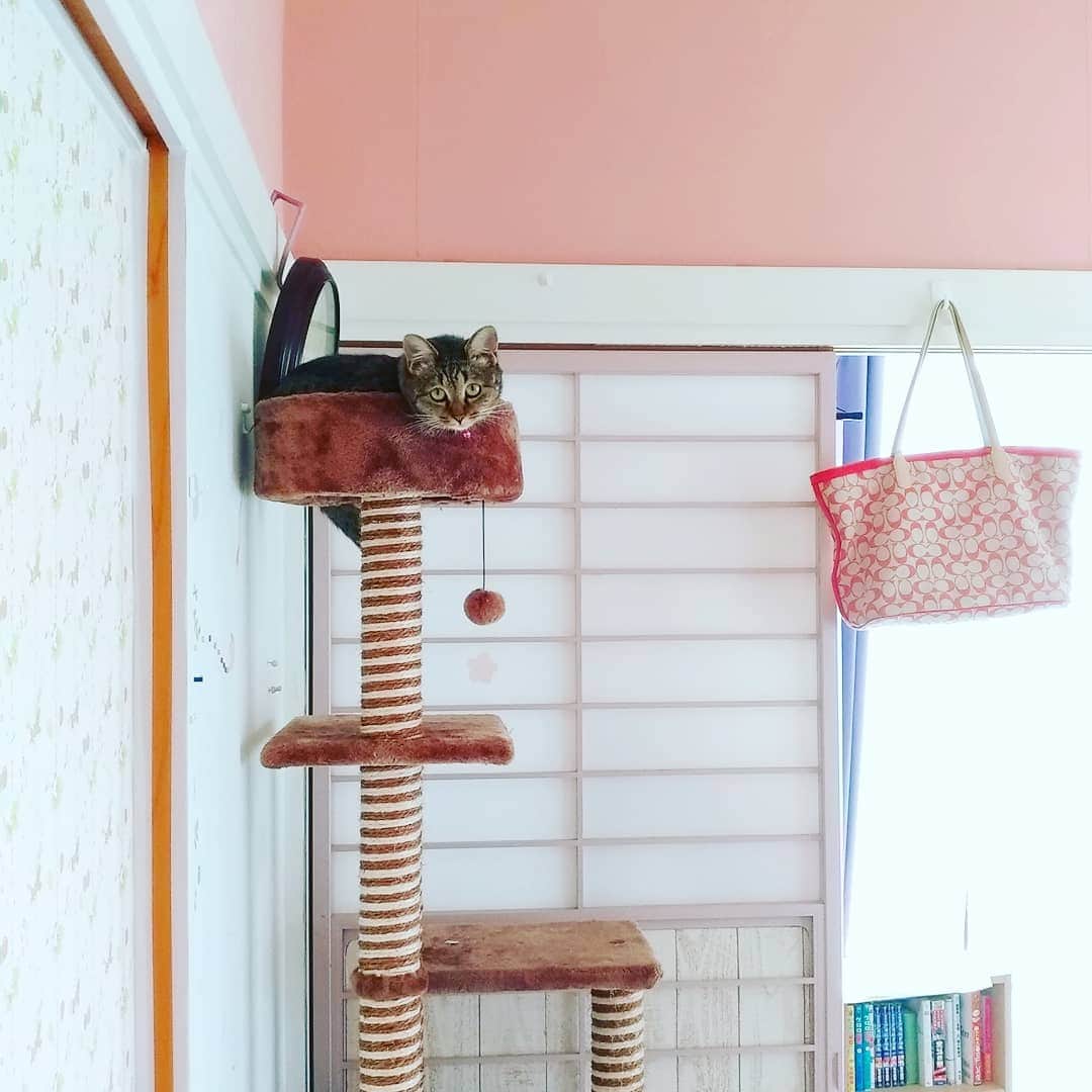 高口里純のインスタグラム