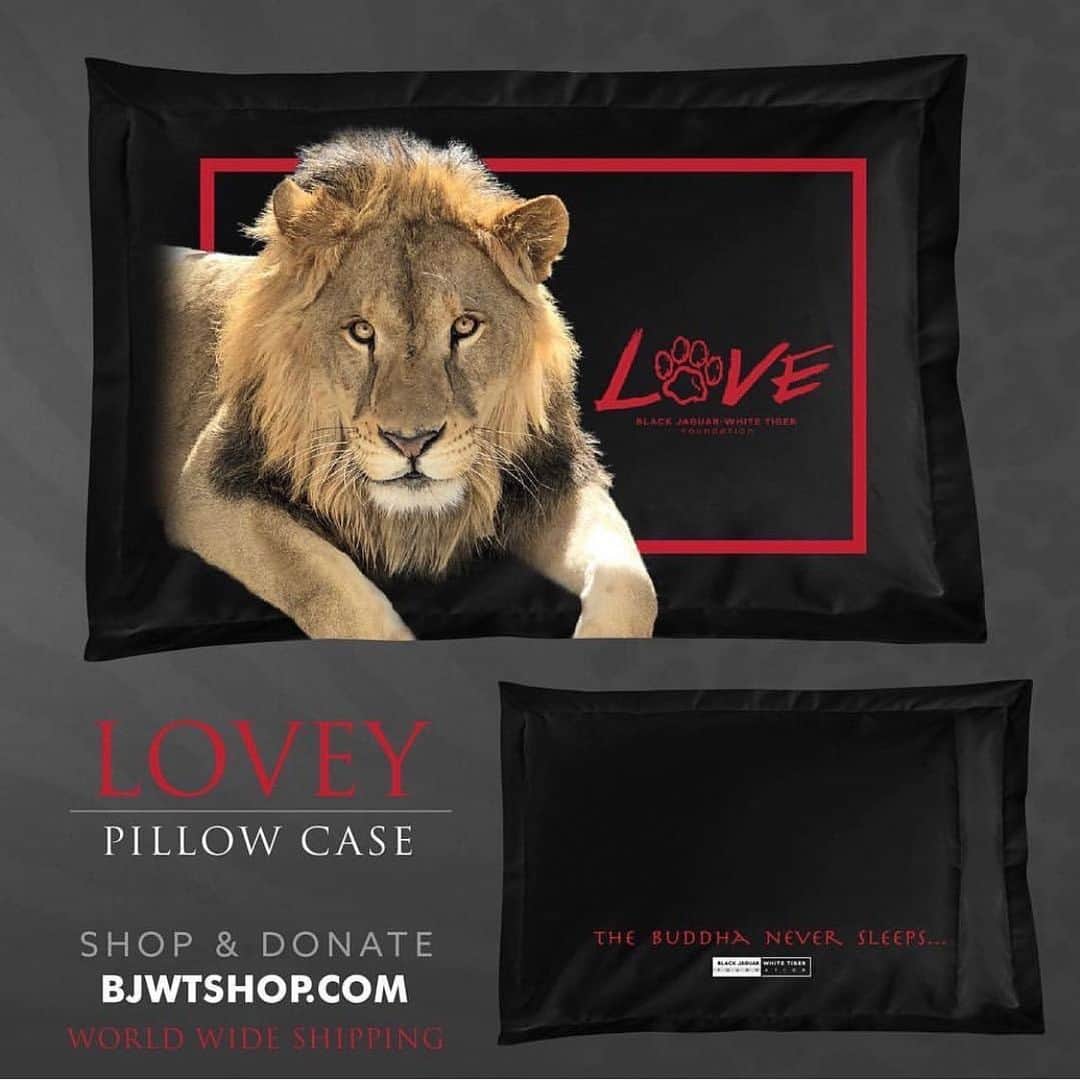 Black Jaguar-White Tiger さんのインスタグラム写真 - (Black Jaguar-White Tiger Instagram)「Lovey Dovey pillow case. It’s beautiful. Your donation saves lives. Active link on our bio or at BJWTshop.com  #ThankYou」6月25日 11時41分 - blackjaguarwhitetiger