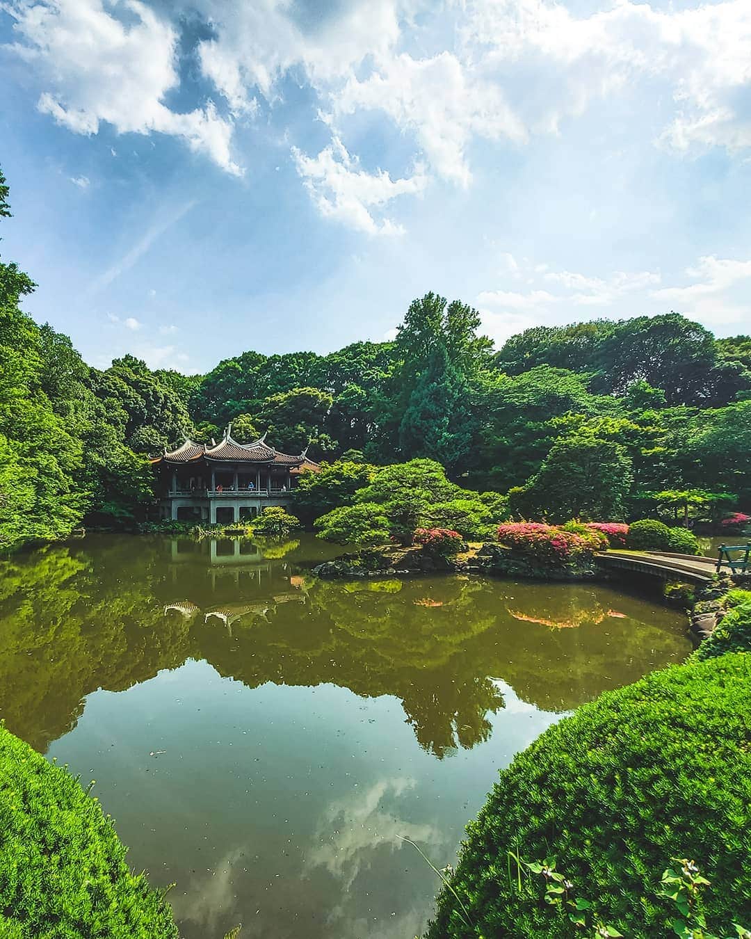 Galaxy Mobile Japanさんのインスタグラム写真 - (Galaxy Mobile JapanInstagram)「天候に恵まれたお気に入りの新宿御苑♪ さまざまな様式の特色あふれる庭園が楽しめちゃうんです！鮮やかなリフレクションや、季節の花などその時季ならではの移り変わっていく自然も綺麗で、何度訪れても魅了されてしまいます✨ 📸#GalaxyS10 #withGalaxy Photo by @8s_hero」6月25日 12時00分 - samsungjpn