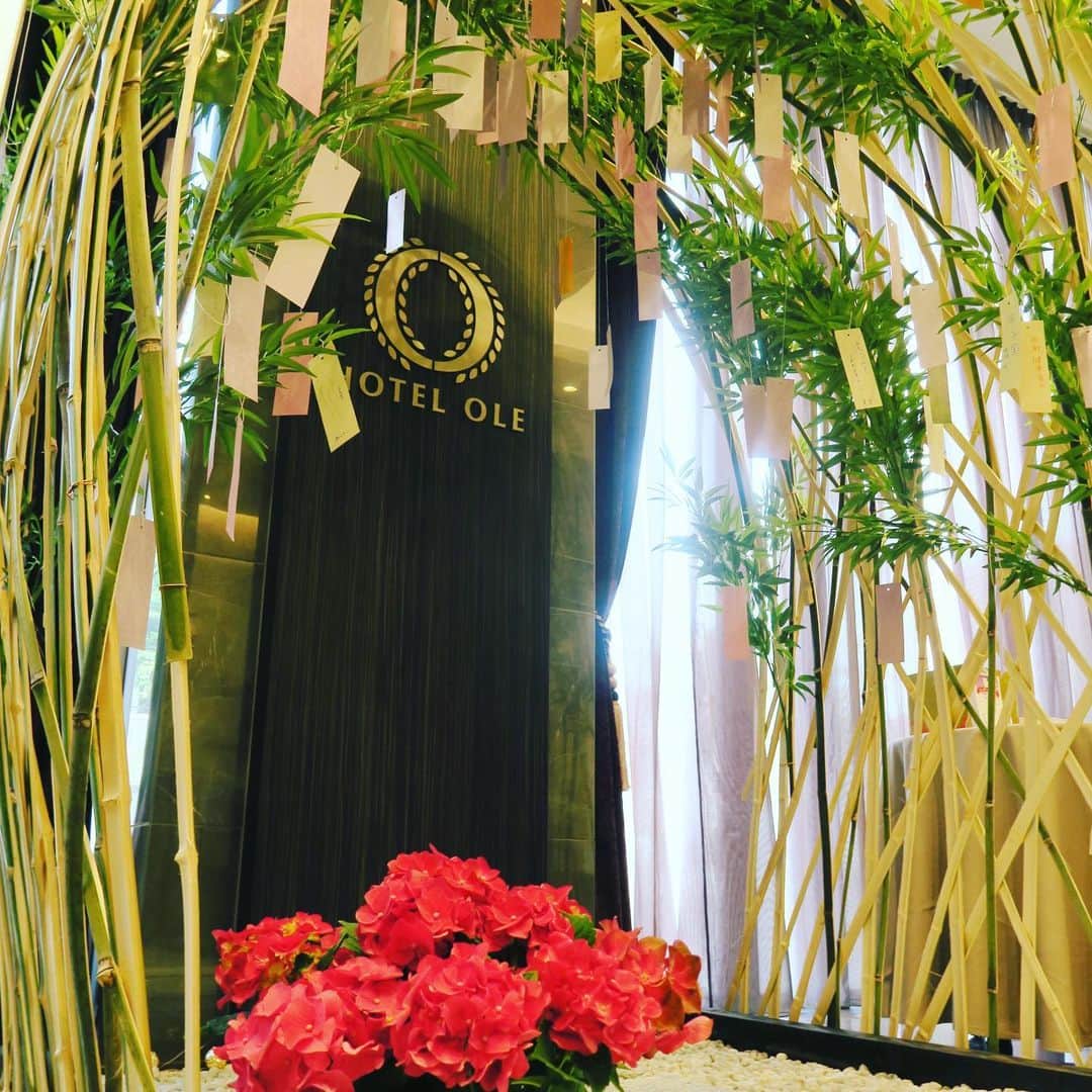 ホテルオーレ　ブロッサモーレのグルメインスタ