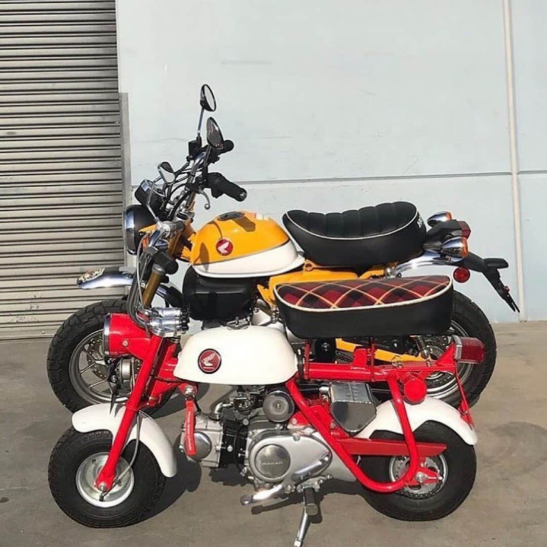 Honda Powersports USさんのインスタグラム写真 - (Honda Powersports USInstagram)「Which would you take? #z50 or the #hondamonkey 🐵 #MiniMOTO 📸: @mdrn21」6月25日 13時26分 - honda_powersports_us