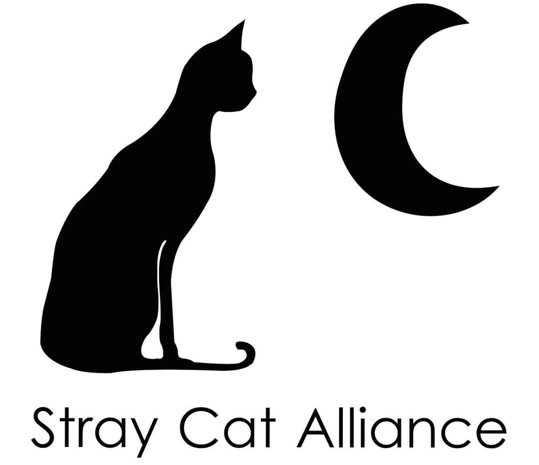 Cats of Instagramさんのインスタグラム写真 - (Cats of InstagramInstagram)「We’re extremely excited to be working with @straycatalliance again this year at @catconworldwide ❤️. Stop by our booth to learn about their no kill mission & how you can get involved. Additionally, we’ll be donating 25% of all of our merch sales to SCA. More to come this week. CatCon is this Saturday & Sunday. Tickets in our bio. #adopt」6月25日 13時52分 - cats_of_instagram