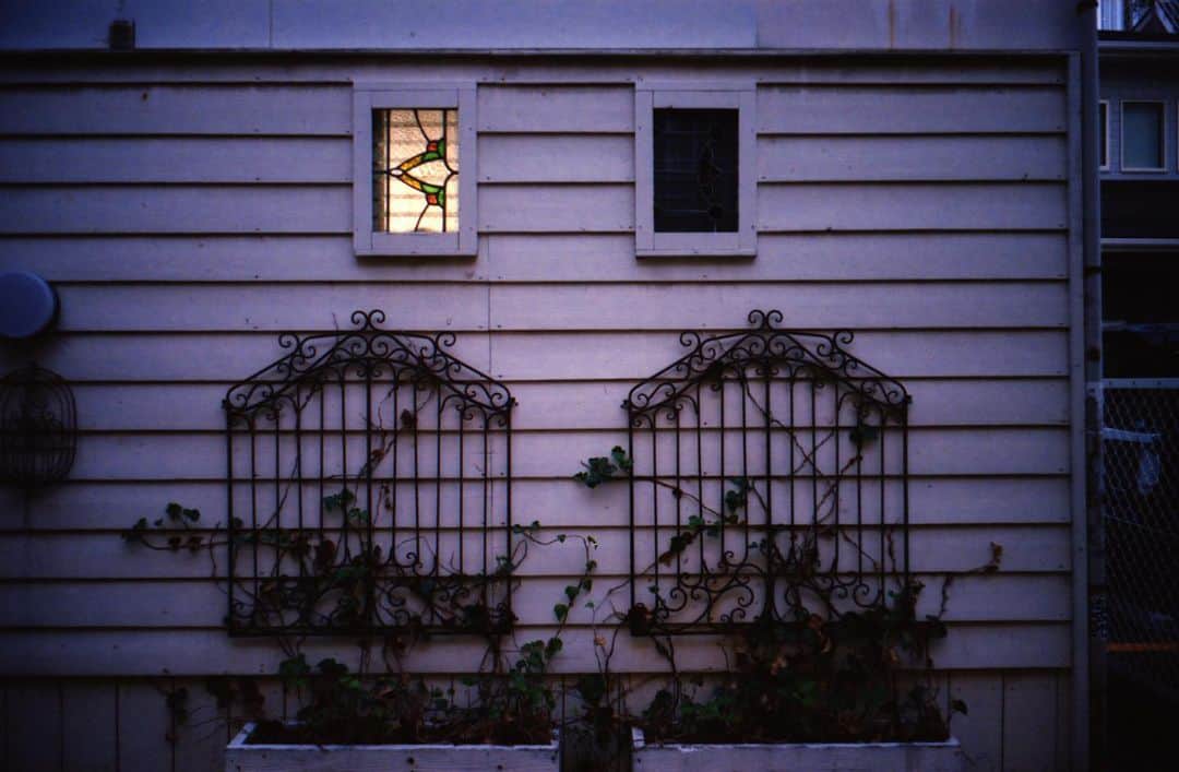 田島貴男さんのインスタグラム写真 - (田島貴男Instagram)「Violet Light #フィルムカメラ #nikons2 #wnikkor35mmf25 #portra400」6月25日 14時13分 - tajimatakao