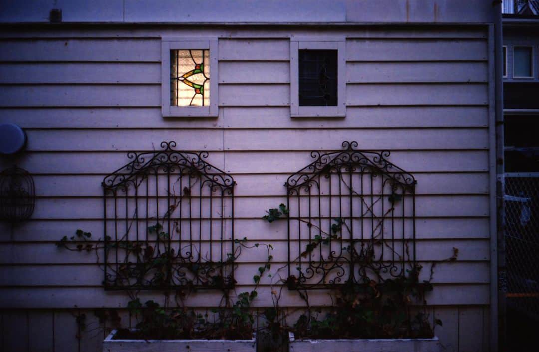 のインスタグラム：「Violet Light #フィルムカメラ #nikons2 #wnikkor35mmf25 #portra400」