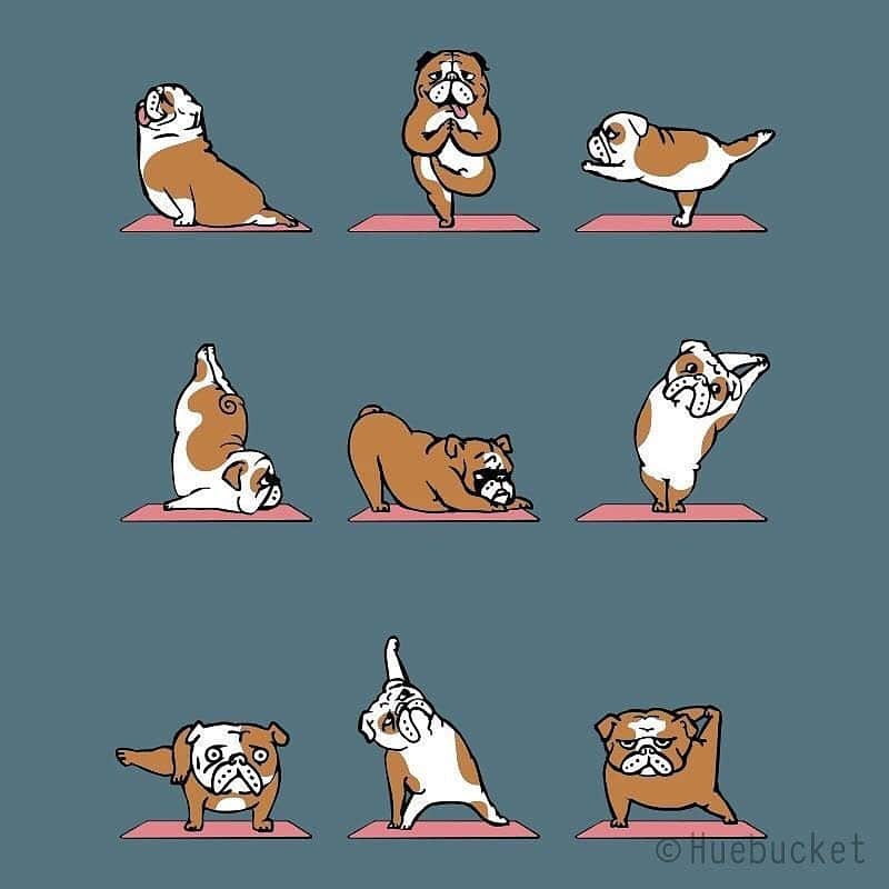 9GAGさんのインスタグラム写真 - (9GAGInstagram)「Your daily yoga motivation🧘‍♀️🧘‍♂️ By @huebucket  @doodles #yoga #illustration #9gag」6月25日 14時25分 - 9gag
