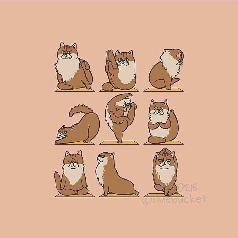 9GAGさんのインスタグラム写真 - (9GAGInstagram)「Your daily yoga motivation🧘‍♀️🧘‍♂️ By @huebucket  @doodles #yoga #illustration #9gag」6月25日 14時25分 - 9gag