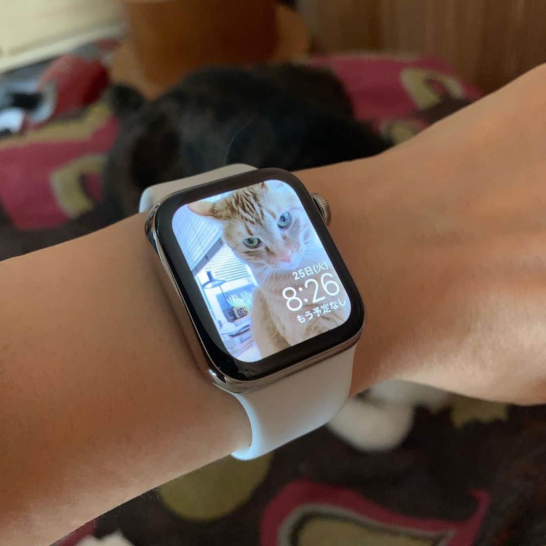 石田ゆり子さんのインスタグラム写真 - (石田ゆり子Instagram)「Apple Watchどの。 予定はあるのよ😭👏🏻 もう予定なし… そこはかとなく こころに隙間風のふく Apple Watchデビューの日。」6月25日 14時43分 - yuriyuri1003