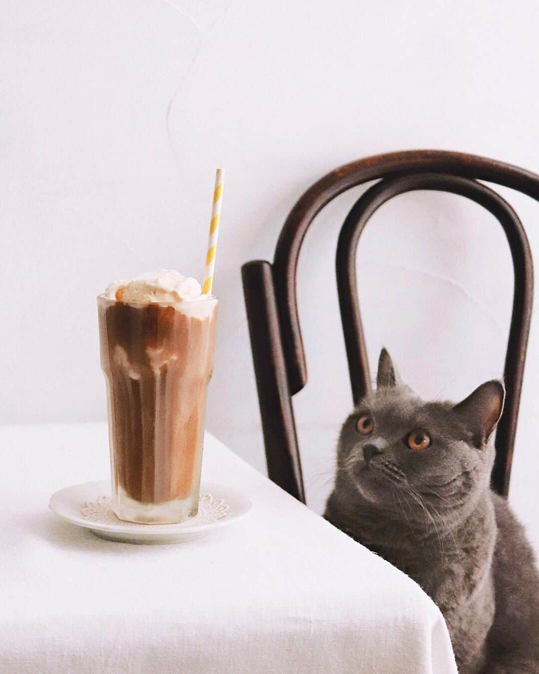 樋口正樹さんのインスタグラム写真 - (樋口正樹Instagram)「Coffee float . ３時のおやつに、 コーヒーフロート。 ＆ボナさん。 . ボナさんの興味は 溶けるバニラより 紙ストローの先端。 . . #coffeefloat #coffeebreak #coffeegram #coffeelove #haagendazs #libbey #libbey_jp #bonahiguchi #コーヒーフロート #アイスコーヒー #樋口ボナ」6月25日 15時03分 - higuccini