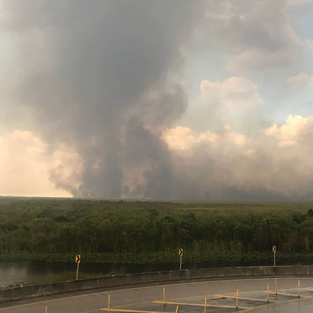 VICEさんのインスタグラム写真 - (VICEInstagram)「A massive wildfire has consumed more than 17,000 acres of the Everglades in less than 24 hours.  Officials believe lightning started the blaze Sunday evening in west-central Broward County. Since then, the flames spread quickly: As of 4 p.m. on Monday afternoon, an area of 17,000 acres was burning — and had been 0% contained.  Link in bio to keep up with updates.  Via @vicenews」6月26日 2時00分 - vice