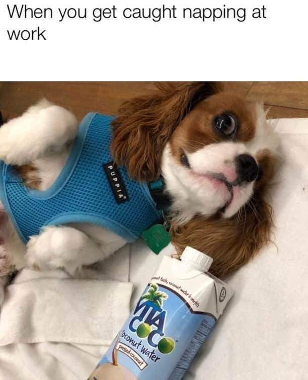 Vita Coco Coconut Waterのインスタグラム：「I was just resting my eyes.」