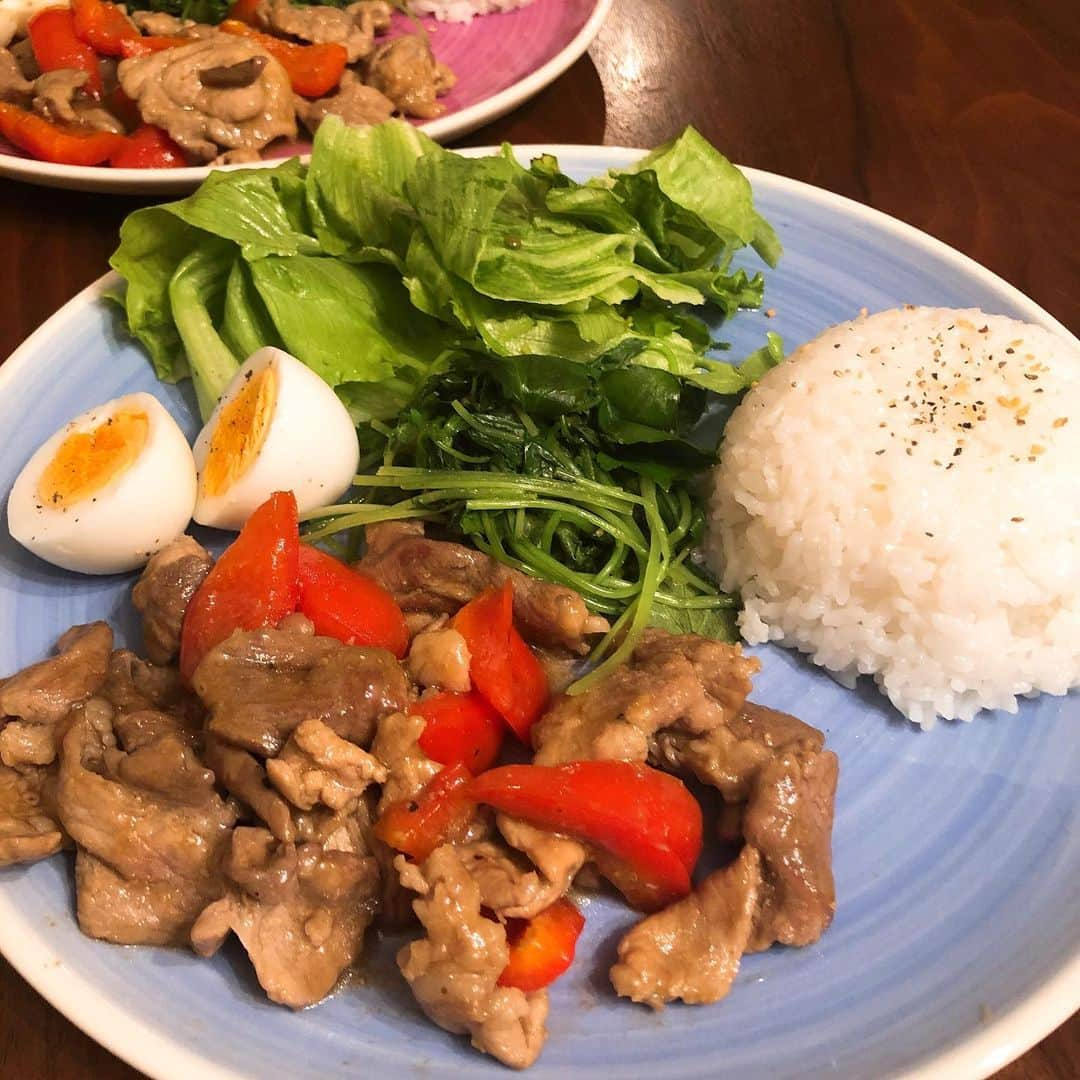 宮地謙典さんのインスタグラム写真 - (宮地謙典Instagram)「クッキングゴリ 今回は夏野菜を使ったプレート飯。 暑い日には「酢」と「夏野菜」を使ってクッキング！！ ☆豚肉とパプリカの甘酢炒め ☆みつばの白だし和え ☆ゆで卵  #クッキングゴリ #夕食 #おうちごはん #cooking #レシピ #時短レシピ #豚肉 #パプリカ #みつば #ワンプレートごはん  #献立 #男飯 #男子ごはん #グルメ #料理部 #料理好きな人と繋がりたい」6月26日 0時47分 - miyajinibugo