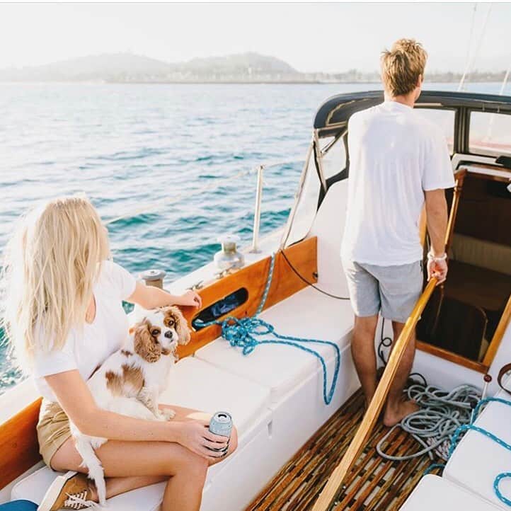 シービーズのインスタグラム：「When you’ve got the coolest co-pilot...@copper_the_cavalier_ #showupinseavees」