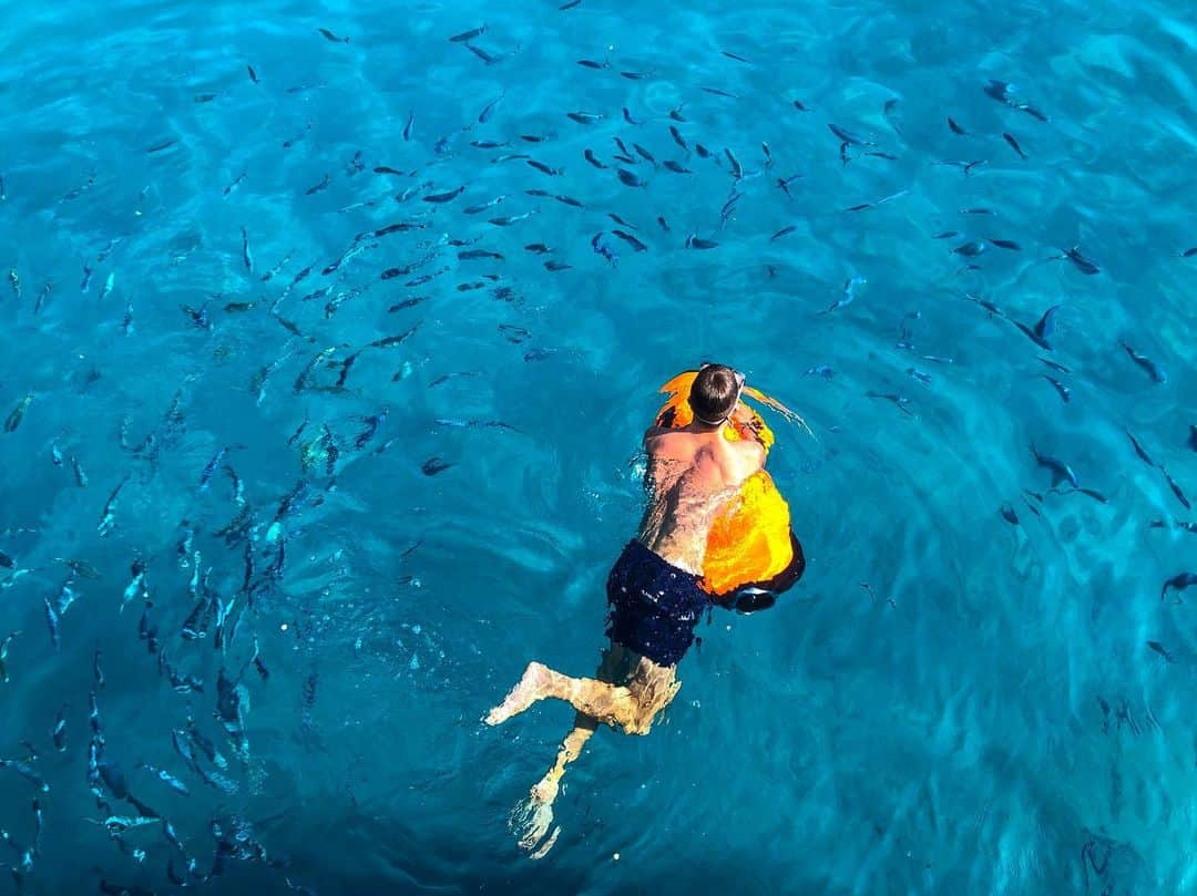 ユリアン・ヴァイグルさんのインスタグラム写真 - (ユリアン・ヴァイグルInstagram)「🐟 🐠 🏄‍♂️」6月26日 1時30分 - juweigl