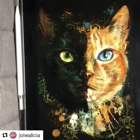 Venus Cat のインスタグラム