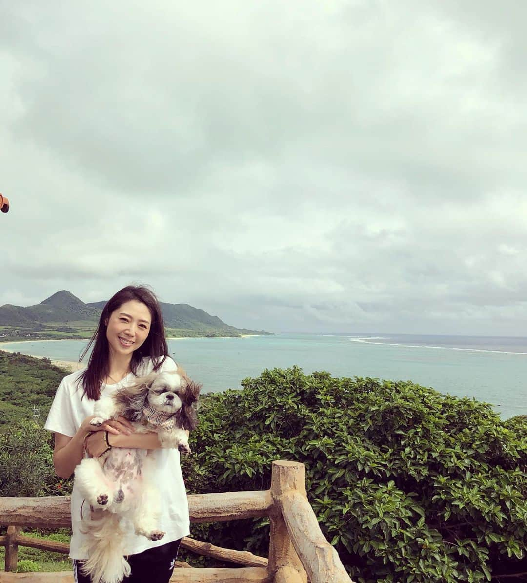 榊原みゆくさんのインスタグラム写真 - (榊原みゆくInstagram)「【石垣島】 With しーちゃん しーちゃん、初めての飛行機、そして、初めての海🏖🏖🏖 たぶん！泳げると思うけど、濡らした後の乾燥がね、ほら、シーズーって、濡らすと違う生き物になるから、入れる前は可愛いのに、海から上がってきたらホラーなってるから！！ 岩場までしか連れて行けず、そして、怖がって尻尾だだ下がり笑  砂場では、寛いで歩こうとせず😥 私の、波打ち際で、犬とのかけっこという夢は、敵うもなく#😂 石垣島の沖縄そばは、久米島より美味しかった！！❤️ 終わりよければ全て良し！！ - - しーちゃんと旅行できるなんて、感謝感謝💕 - -  #shihtzulovers #shihtzulove #shihtzugram #シーズー大好き部 #shihtzu #ishigaki #okinawa #シーズー #犬との旅行 #犬との暮らし #石垣島 #時差投稿 #travelblogger #followme」6月25日 17時11分 - miyukuscarab