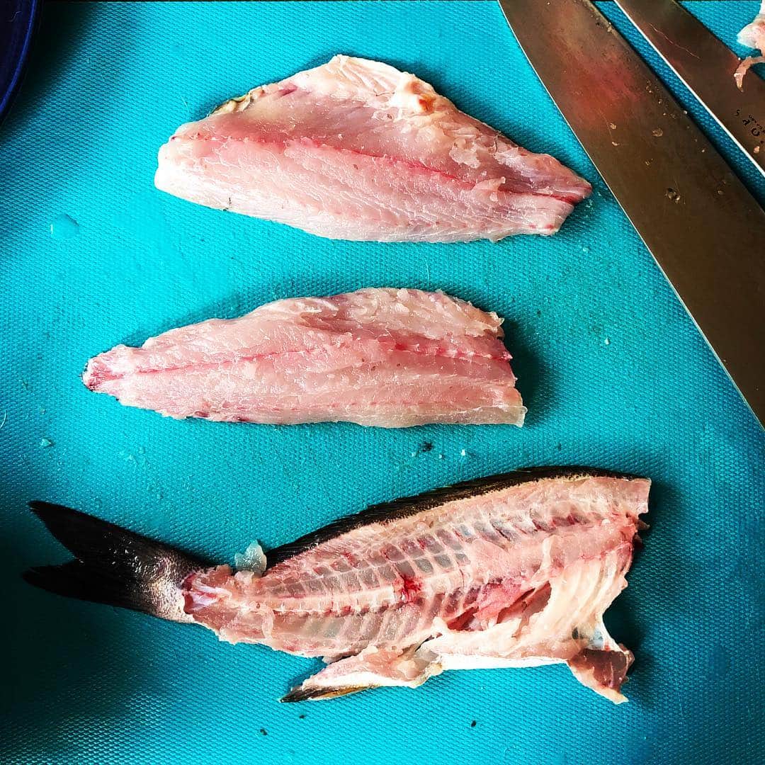津久井智子さんのインスタグラム写真 - (津久井智子Instagram)「#初島 #うえの 大将より 今朝釣れたてピカピカ✨の イサキ3尾🐟🐟🐟 熱海教室でいただきましたので、 超ありがたく 新鮮なうちに イサキ祭りじゃぁ〜〜！！ 白子は湯引きしてポン酢で、 真子はにんにくバルサミコ醤油で ホイル焼きにして、 身は柚子胡椒のカルパッチョで、 1匹はまるごと使って アクアパッツァで、 そうなると昼から白ワイン1本 開けざるを得ないわけで、、、 うふふふ〜。 今日はもうイサキしか食べない！ (H原さんいつもありがとう😊) 明日はもう一匹をムニエルにする！」6月25日 17時47分 - tomokotsukui