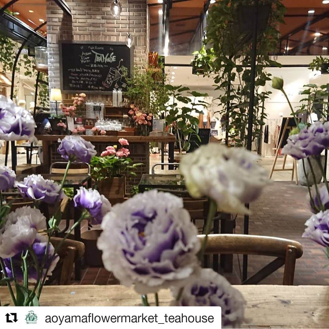 青山フラワーマーケットのグルメインスタ