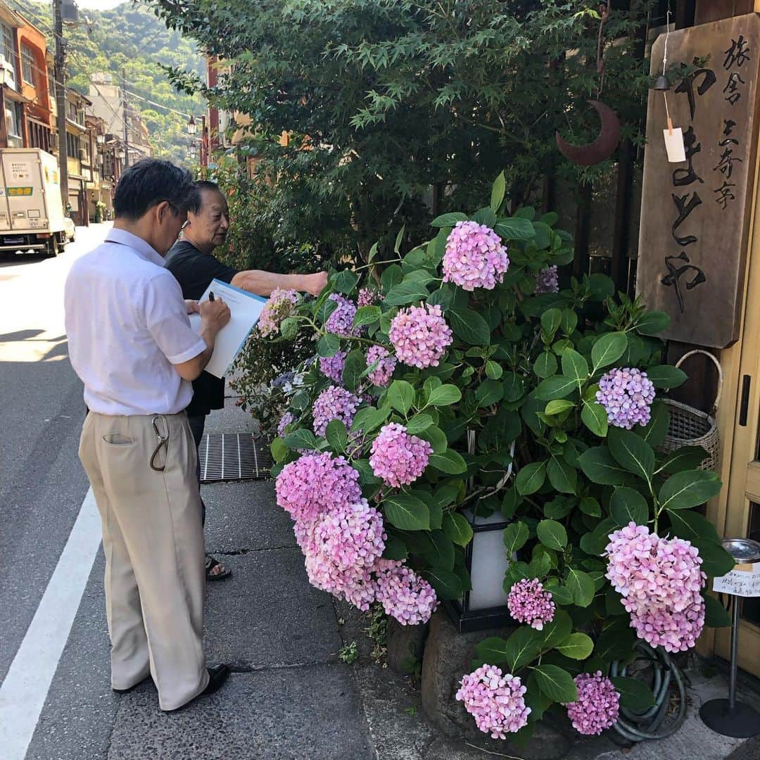 やまとや（城崎温泉)のインスタグラム：「城崎温泉の記念撮影スポットとして、新聞取材を受けました^_^ 掲載は明日かな？？ しかし、今年のアジサイは特に大きい‼️ どなたでも、お気軽に記念撮影なさってください^_^  #やまとや #城崎温泉 #城崎温泉やまとや #旅舎やまとや #城崎温泉インスタ映え #紫陽花 #城崎温泉街 #kinosaki #kinosakionsen #kinosakionsentown #城崎温泉大和屋」