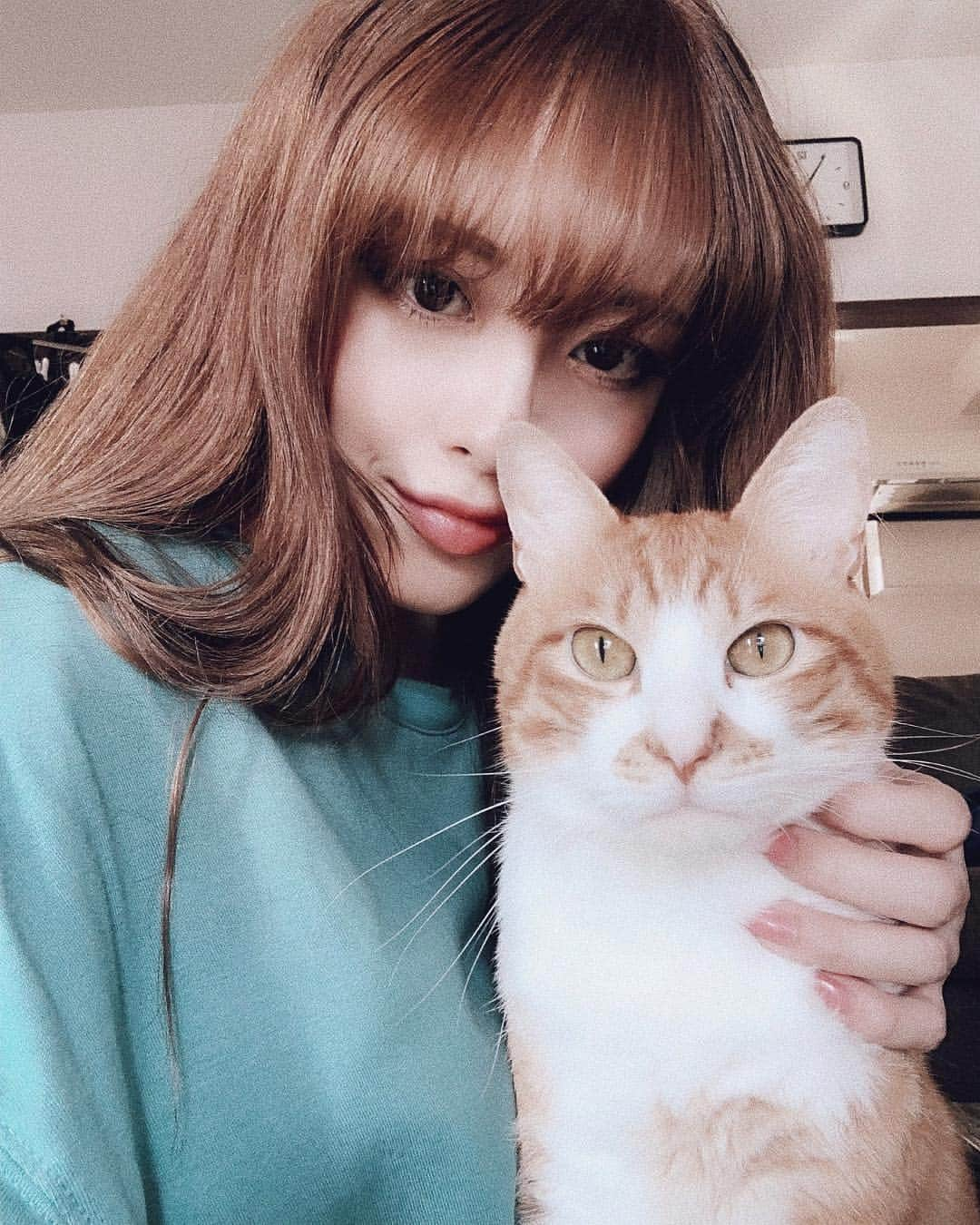 JESSY.Uさんのインスタグラム写真 - (JESSY.UInstagram)「ねことわたし お散歩してー 帰宅したらひたすら #hulu で #Humans を観てる ずーっと腕枕で寝てるそらが かわいすぎる もうすぐお兄ちゃんになるよ🐱 頼むぜ ・ ・ #ねこ #茶トラ #そら かわいすぎ #snow で撮ったら鼻筋通り過ぎ #selfie」6月25日 17時58分 - dj_jessy_u