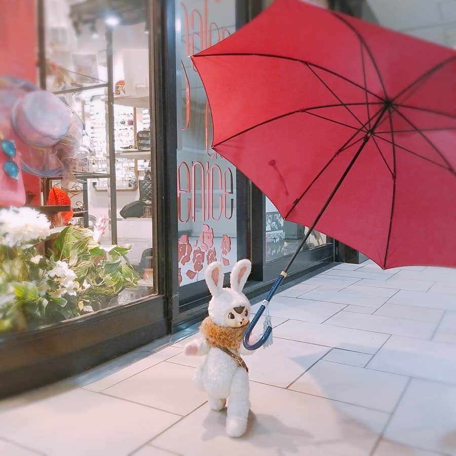 エチカのインスタグラム：「. エチカは梅雨が嫌いじゃ、ありません😏 なぜかって... かわいくて、おしゃれ〜〜な傘を みんなに自慢できちゃうから💙 . #湿気で毛が広がるのは少し悩みだけどね #ブラッシングが大変 . ------------------------------ 店舗名：Petit Salon de VENICE〜ヴェニスの商人〜 商品名：タッセル付 晴雨兼用傘 ほか 金額：2,268円〜（税込） ------------------------------ . . #エチカ #傘 #雨 #梅雨 #梅雨対策 #梅雨コーデ #梅雨を楽しむ #ヴェニスの商人 #エチカ表参道 #表参道 #Echika #umbrella #rain #rainyseason #petitsalondevenice #Echika表参道 #Omotesando」