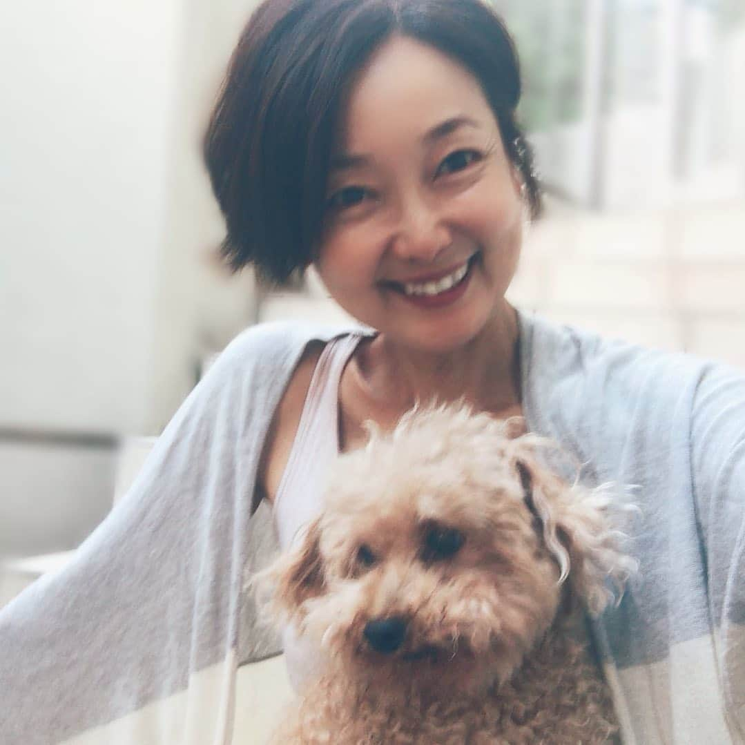 中島はるみさんのインスタグラム写真 - (中島はるみInstagram)「ルクも私もヘアカット待ち もうすぐ、、 #待ち遠しい #金曜日 #50代モデル  #50代ヘアスタイル  #シニア犬 #筋肉痛 #ヒップホップ  #ダンス大好き #健康 #身体動かす #習慣」6月25日 18時58分 - harumi_nakajima