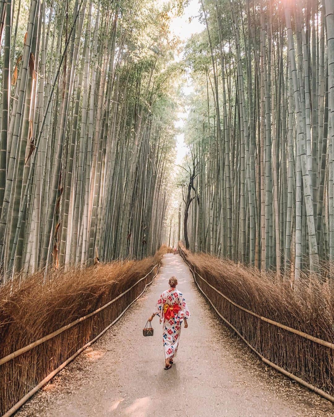 RUI ONUMAさんのインスタグラム写真 - (RUI ONUMAInstagram)「ㅤㅤㅤㅤㅤㅤㅤㅤㅤㅤㅤㅤㅤ Bamboo forest road🎋 ㅤㅤㅤㅤㅤㅤㅤㅤㅤㅤㅤㅤㅤ まるでかぐや姫のような 世界観の場所⛩ 京都嵐山にある竹林。 ㅤㅤㅤㅤㅤㅤㅤㅤㅤㅤㅤㅤㅤ 混雑時は竹下通り並みに混雑 してるらしい！(笑) ㅤㅤㅤㅤㅤㅤㅤㅤㅤㅤㅤㅤㅤ ㅤㅤㅤㅤㅤㅤㅤㅤㅤㅤㅤㅤㅤ ――――――――――――― ㅤㅤㅤㅤㅤㅤㅤㅤㅤㅤㅤㅤㅤ ㅤㅤㅤㅤㅤㅤㅤㅤㅤㅤㅤㅤㅤ 🗺 #日本  #japan #京都 #kyoto #嵐山 📍 #嵐山竹林 #arashiyamabambooforest  ㅤㅤㅤㅤㅤㅤㅤㅤㅤㅤㅤㅤㅤ ㅤㅤㅤㅤㅤㅤㅤㅤㅤㅤㅤㅤㅤ ――――――――――――― ㅤㅤㅤㅤㅤㅤㅤㅤㅤㅤㅤㅤㅤ #おーぬまんKYOTO旅」6月25日 19時08分 - onumaaan