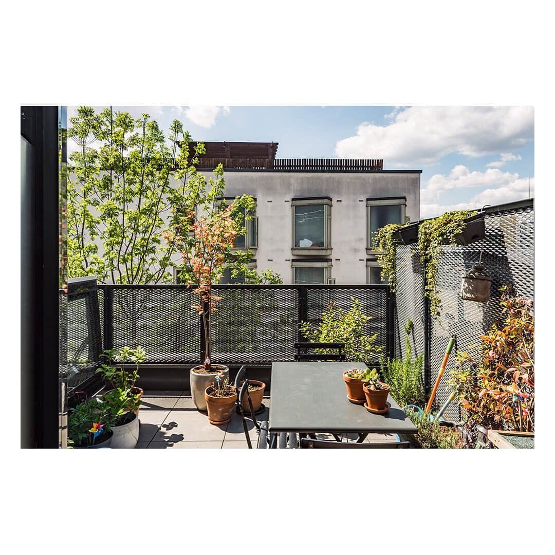 The Modern Houseさんのインスタグラム写真 - (The Modern HouseInstagram)「Making Light Work: an exceptional east London home with commercial space on the lower levels. Link in bio.」6月25日 19時40分 - themodernhouse