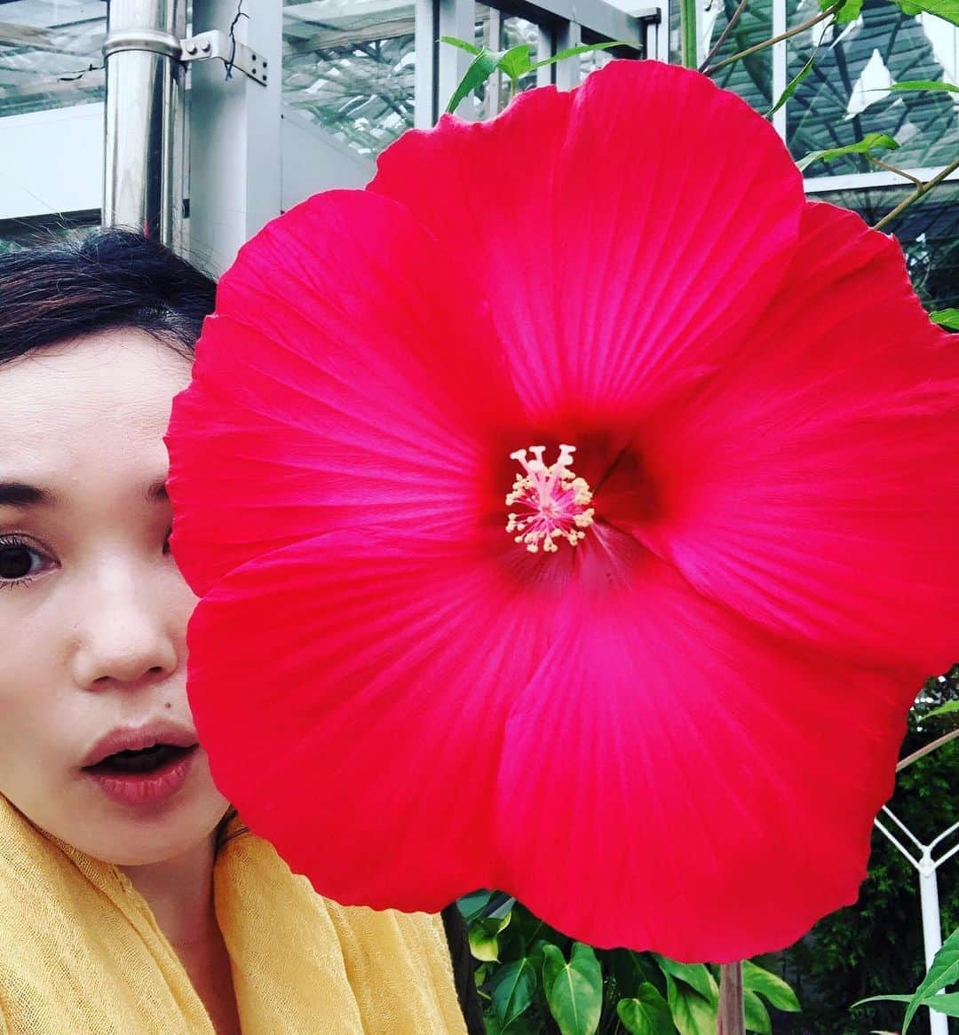 平野ノラさんのインスタグラム写真 - (平野ノラInstagram)「🌺🌺🌺 #okバブリー」6月25日 19時43分 - noranoranora1988