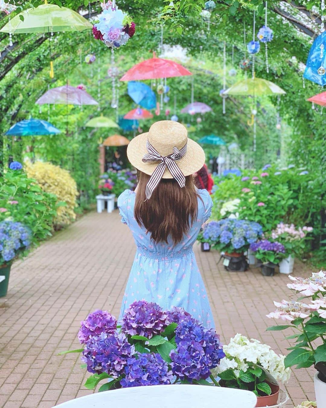 蓼沼綾のインスタグラム