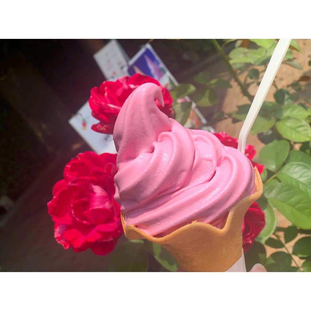 のインスタグラム：「ローズソフト🌹🍦😋 ・ ・ ・  #rose #香り豊か #年取ってローズの香り好きになってきた #アイスタグラム」