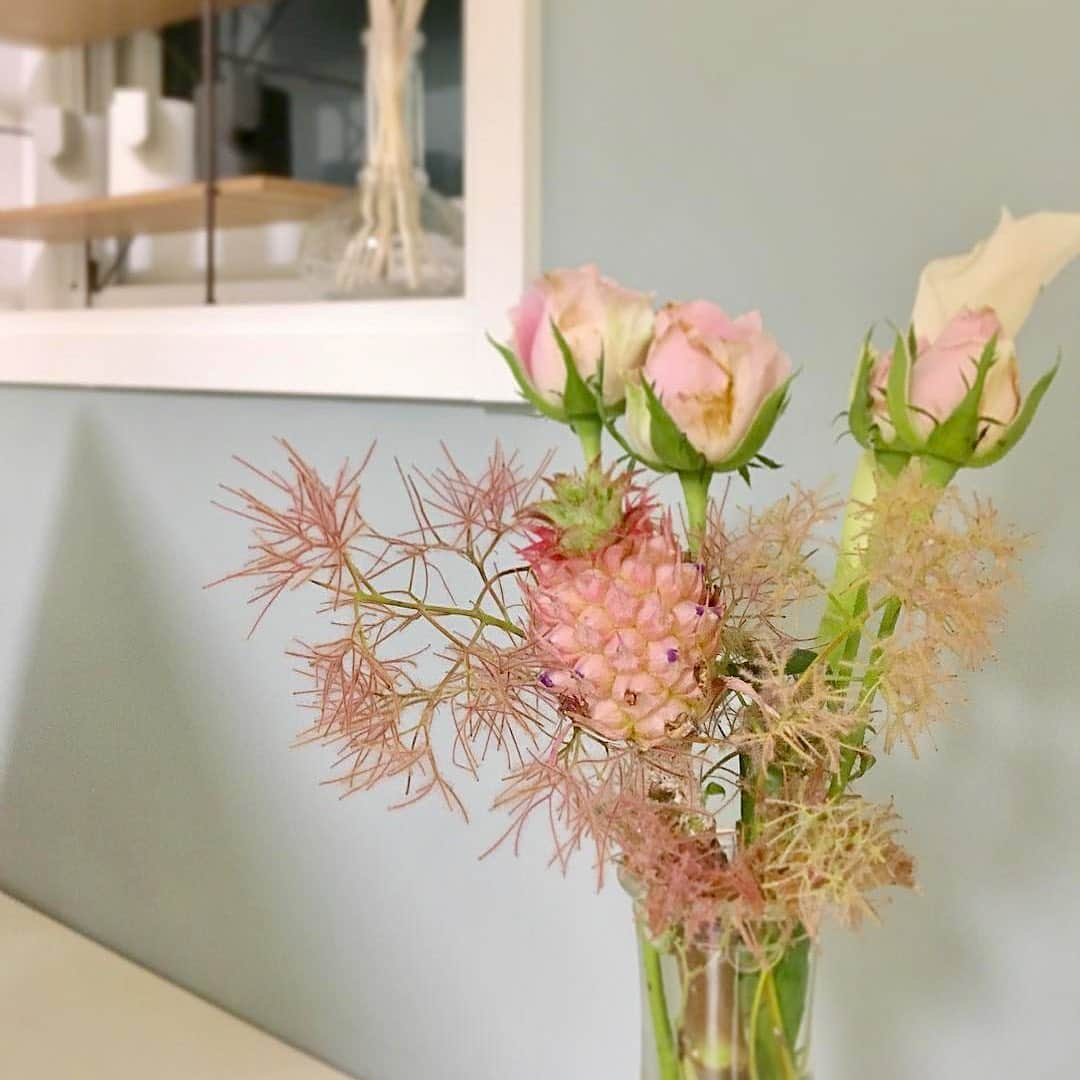 Bloomee LIFEさんのインスタグラム写真 - (Bloomee LIFEInstagram)「・﻿ 気持ちがパッと明るくなる﻿ パステルカラーのお花を集めてみました🤗🌸﻿ ﻿ 淡いピンクにブルー、グリーン…﻿ ﻿ 眺めていると元気を貰えるので、﻿ みなさんからもとても人気が高いカラーです🌷﻿ ・﻿ Special Thanks Photo by⠀⠀﻿ @chibisoh﻿ @matsukou_3﻿ @umaru_294﻿ ・﻿ #bloomeelife#ブルーミーライフ#花のある生活#花好きな人と繋がりたい#おうち時間#花部#花写真#花が好き#花を飾る#暮らしを楽しむ#日々の暮らし#丁寧な暮らし#日々#お花のある暮らし#ナチュラル#素敵な休日#暮らしを整える#くらしのきほん#日々の暮らしを楽しむ#丁寧に暮らす#ナチュラルに暮らす#コーヒー好き#すっきり暮らす#リノベーション#シンプルインテリア#シンプルホーム#リフレッシュ#ナチュラルインテリア#優しい時間#シンプルに暮らす」6月25日 20時01分 - bloomee