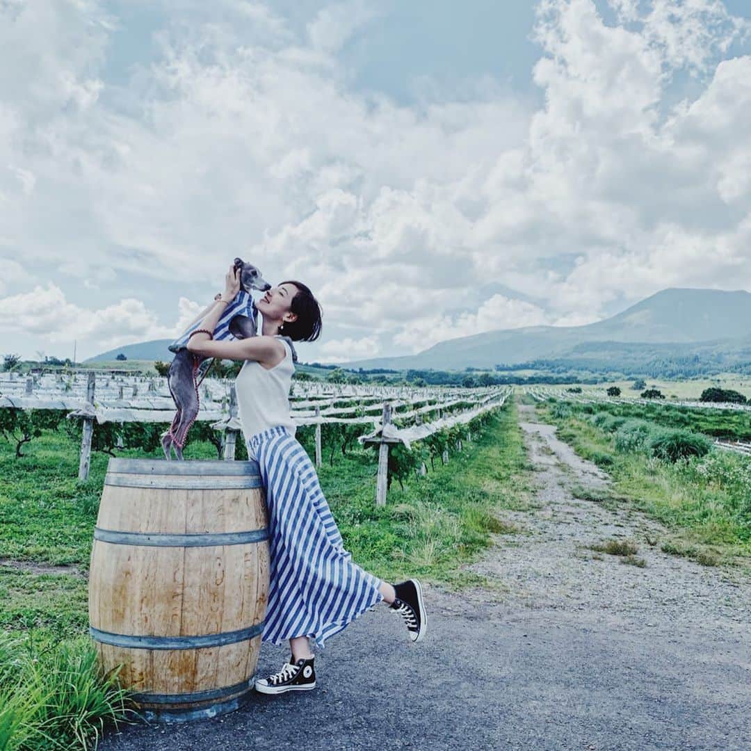 簑島宏美さんのインスタグラム写真 - (簑島宏美Instagram)「* ******** This is our favorite winery in oita.🍇💁‍♀️🐶 * #くじゅう花公園 のあとは、#久住ワイナリー へ立ち寄りました💁‍♀️🍷 普段ワインは飲まないのですが、ここで作られるブドウジュースが大好きなんです🥰 海外？と思ってしまうほど美しく広がる緑豊かな景色に、来るたびに心から癒されます😍 久住ワイナリーはドッグルームもあるので、そこで美味しいピザやパスタもわんこと堪能できます🐶💕 ******** #イタグレ#イタリアングレーハウンド#italiangreyhound#dogstagram#イタグレとの暮らし#iggy#iggygram #iggylove#iggylife#犬のいる暮らし#イタグレ服#iggysoftheworld #iggysofinstagram #dogsofig #dogsofinstagram #プチプラコーデ #犬好きな人と繋がりたい#オシャレさんと繋がりたい#犬服ハンドメイド#リンクコーデ#大分県#oita#おんせん県#おんせん県おおいた#おんせん犬おおいた #oitagram#oitaprefecture」6月25日 20時07分 - hiromiminoshima