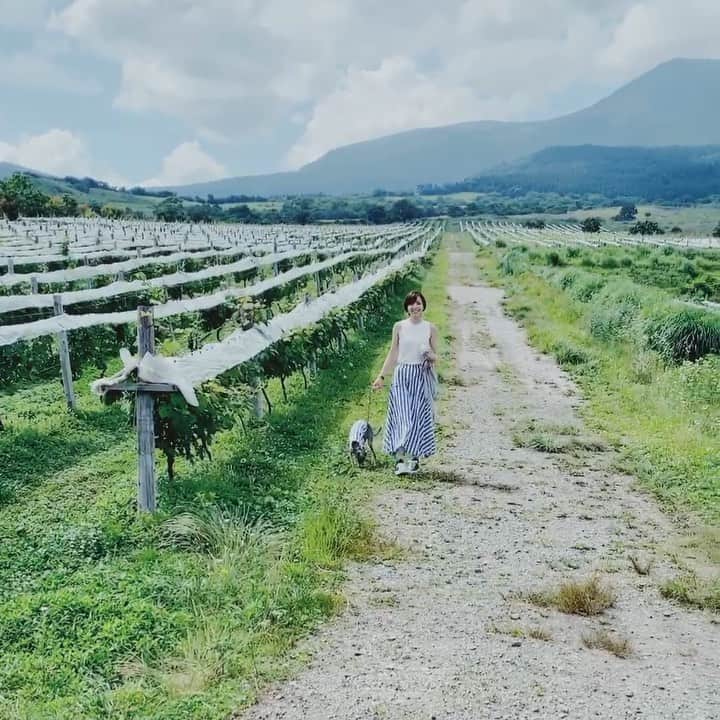 簑島宏美のグルメインスタ