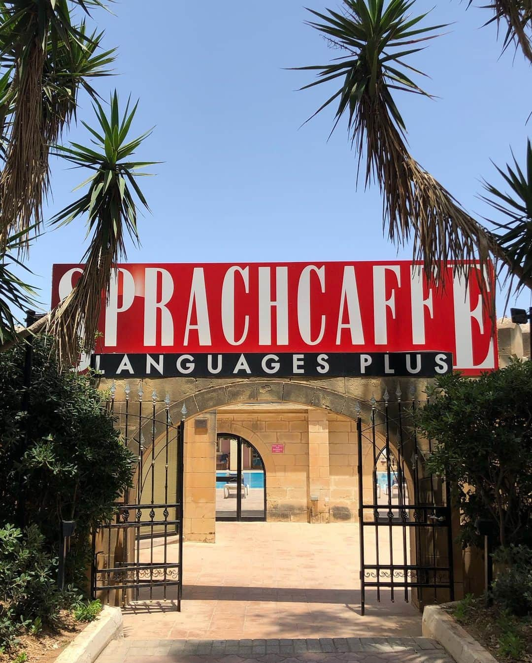 鈴木あやさんのインスタグラム写真 - (鈴木あやInstagram)「私がマルタ留学で通っている学校 @sprachcaffe_malta は以前リゾートホテルだった建物を改装しているから、綺麗だし学校内にプール、レストラン・バー、アパートメントがあるから本当に便利👍🏻🧡 近くにフレッシュなスーパーもあるし最高な環境🙆‍♀️✨ たくさん咲いてる可愛いお花がお気に入り🥺💐 #sprachcaffemoment #SchoolWith #malta  #スクールウィズ #マルタ留学 #マルタ #短期留学 #🇲🇹」6月25日 20時54分 - techitechiaya