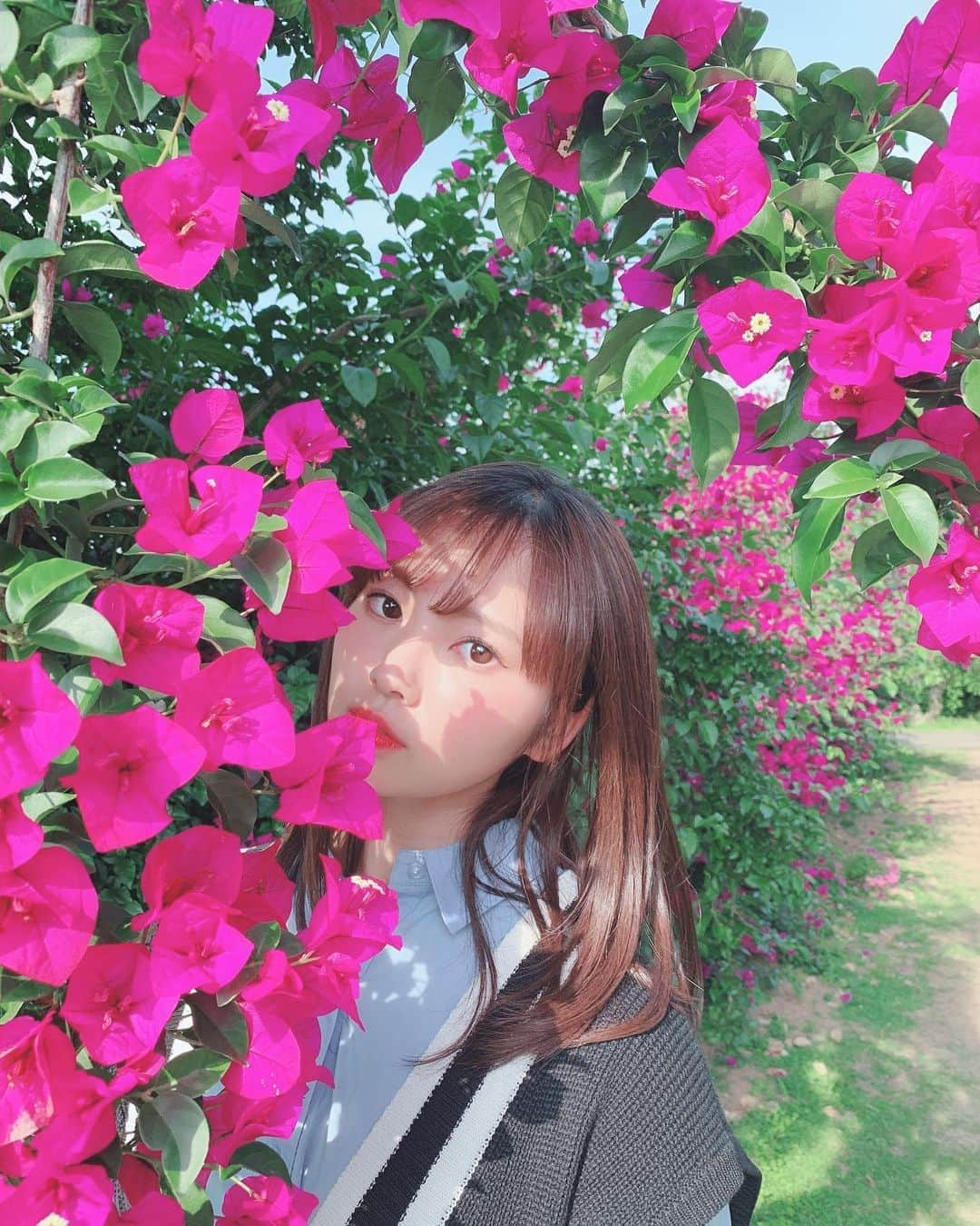 山内祐奈さんのインスタグラム写真 - (山内祐奈Instagram)「. 能古島にはじめて！！ 行ってきました！！ 虫苦手だけど写真撮るために 頑張ったよ！🐛 お花食べてるみたいにみえる笑笑🌸 #能古島 #アイランドパーク」6月25日 21時04分 - yuna_hkt48