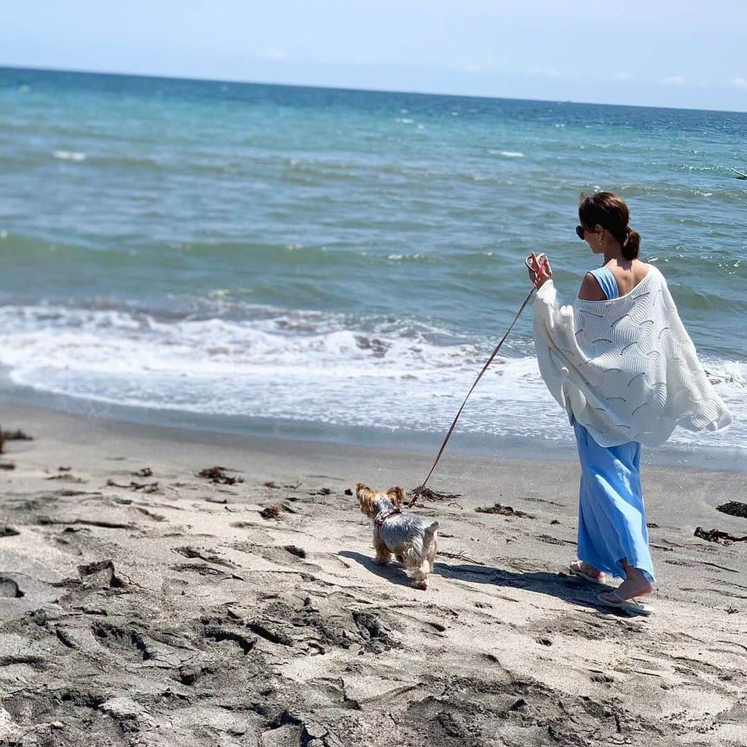 浜崎あゆみさんのインスタグラム写真 - (浜崎あゆみInstagram)「ぱーこの向日葵を持って七里ヶ浜へ🌻﻿ ﻿ ﻿ #ぶーちゃんとぱーこは太陽と向日葵 #また1年経ったね #ぶーちゃんの季節が来たね ﻿ #ぶーちゃんがpotatisくれた🍓」6月25日 21時02分 - a.you