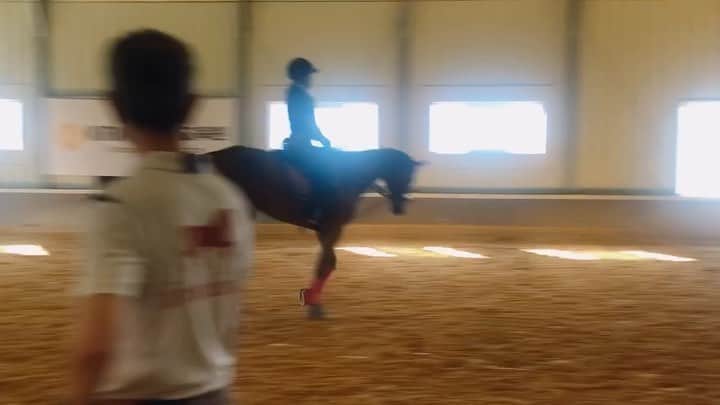 キム・ミニョンのインスタグラム：「란타나와 첫 호흡🐴 내 생각을 강요하는 것은 최고가 아니라는 것, 상대를 무조건 수용하는 것이 최선은 아니라는 것, 서로에 대한 이해와 함께 호흡하며 교감하는 법을 배워가는 중 #horsebackriding#workout#승마#말뽕」
