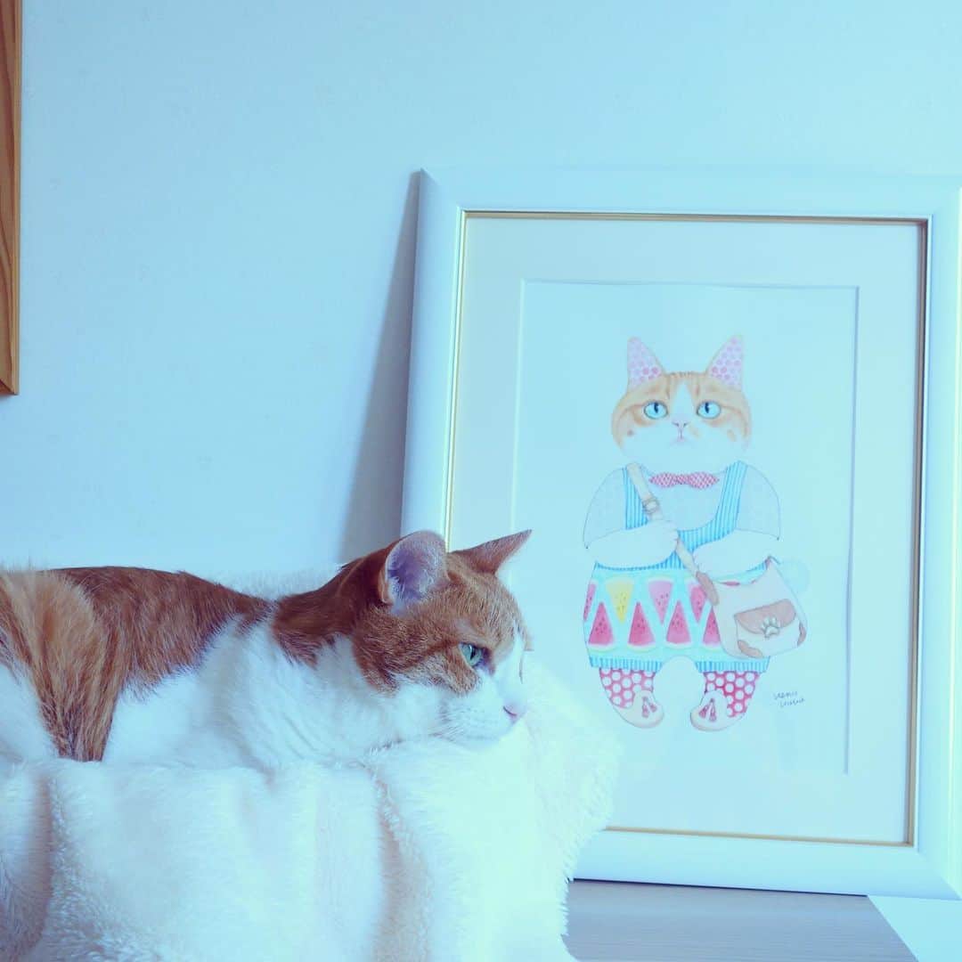 リプリー王子さんのインスタグラム写真 - (リプリー王子Instagram)「2019.06.25 #0625ripleyn  たこ焼きワーラーメロンりぷちん🍉 上野ここさん @kokonandesu の 個展の絵のモデルにりぷちんを選んでいただきました！ ありがとうございます！ 個展が終わって我が家にやって来てくれました♡ もう可愛くて嬉しくてどこに飾ろうか 悩んでいます😆 一緒にモデルさんになった  ねるこちゃんグッズ @akuubichan  前にモデルさんになってたお友達の ポストカードも可愛くてたまらない😻 ここさん、ほんとにありがとうございました！ . #上野ここ さん #kokonandesu * . #無敵の親バカ同盟 #シブにゃん隊over10  #チームラスカルにゃん#りぷちん #りぷちん2019 #ふわもこ部 #cat #猫 #ねこ  #茶しろ組 #gingercat #茶トラ男子部 #excellent_cats #instacat_meows #cat_features #catsofinstagram #weeklyfluff #IGersJP #catstagram #bestmeow  #ペコねこ部 #pecoマガジン表紙デビュー #sippo #朝ワンコ夕ニャンコ  #nyancon01 #rakutenpet  @animalabo_official #まだまだ元気」6月25日 21時17分 - ripleyn