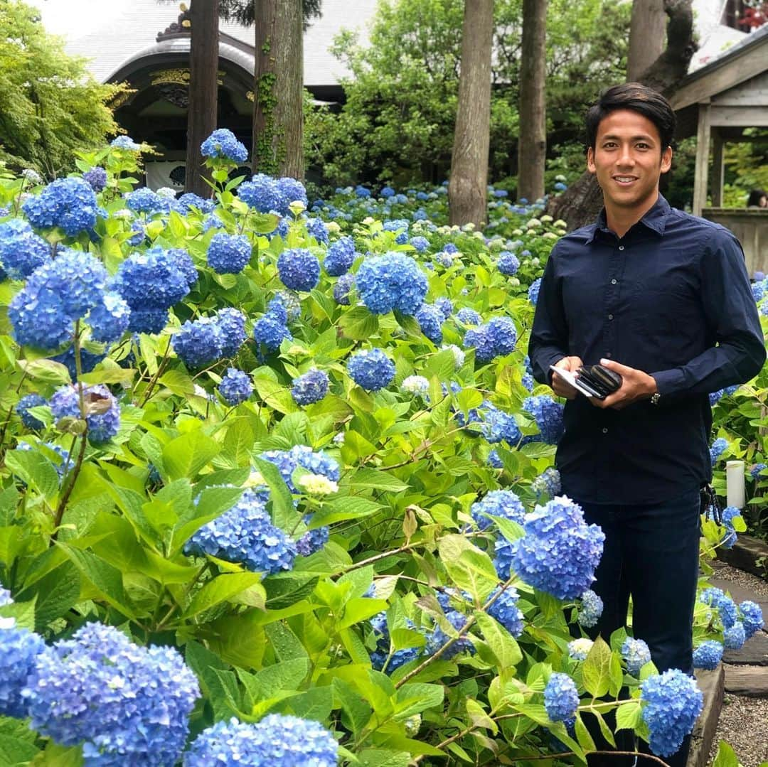 夛田凌輔さんのインスタグラム写真 - (夛田凌輔Instagram)「紫陽花寺で有名な雲昌寺に行ってきました！ 一面、紫陽花でむっちゃ綺麗やった🤗  #雲昌寺 #あじさい #紫陽花 #秋田 #男鹿」6月25日 21時20分 - ryosuke.tada