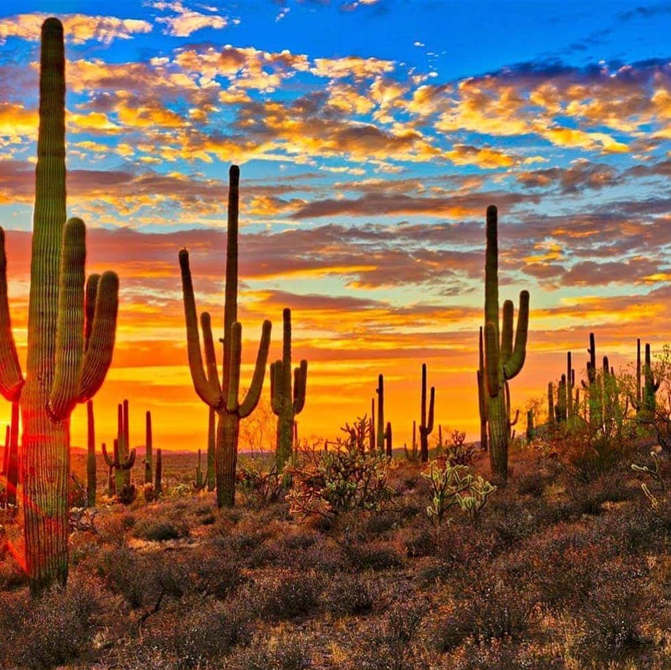 Lonely Planetさんのインスタグラム写真 - (Lonely PlanetInstagram)「On today’s story - we’re throwing around some alternative travel ideas and lesser-known destinations, like soaking in the clementine sunsets of #Tucson, #Arizona 😍 Check it out for more!」6月25日 21時25分 - lonelyplanet