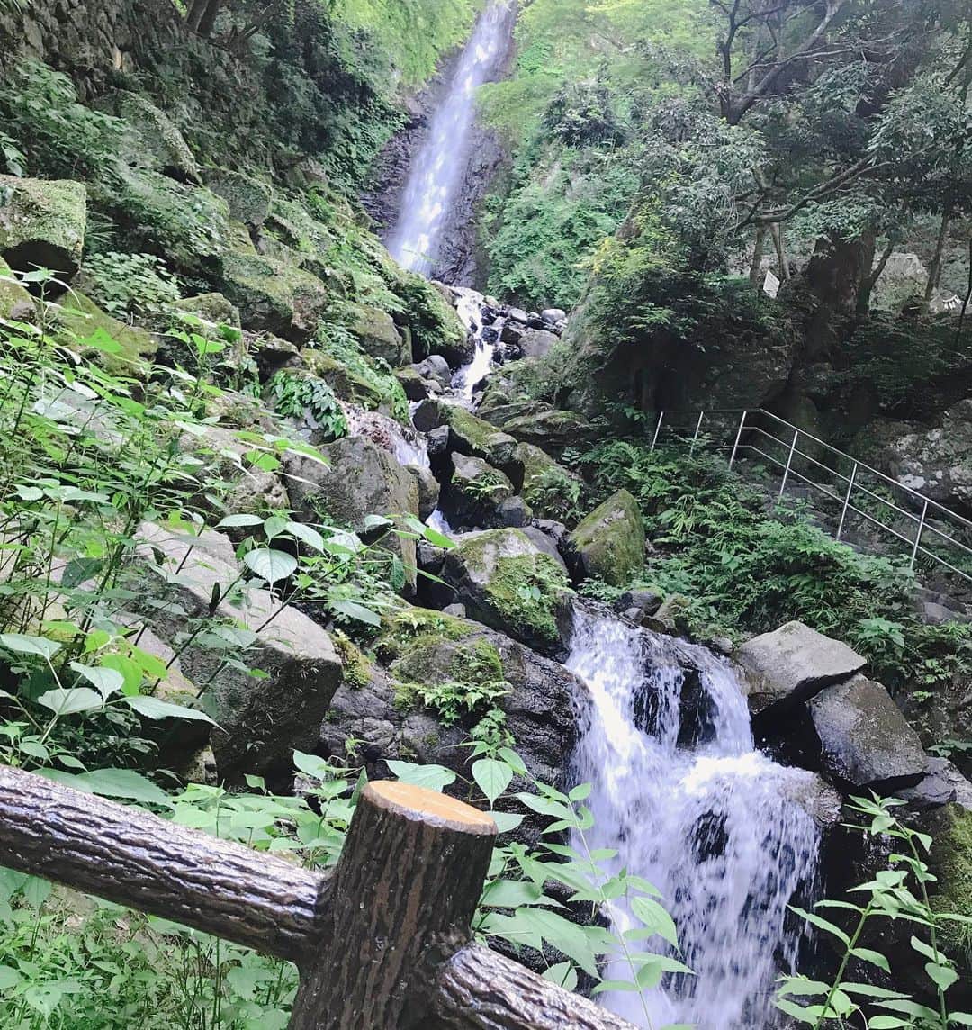 坂本遥奈さんのインスタグラム写真 - (坂本遥奈Instagram)「この前岐阜にプチ旅行✈️ 養老の滝に行ってきたよ あっつい日だったのに 滝の前はすごく涼しくてびっくり🌀 流しそうめんは今まで食べた中で一番の美味しさだったあ✨山の水だからかな、さすが🥺🥺 海もいいけど山もいいね⛰ 自然って素敵、好きだなあ♡ 写真はお姉ちゃんが撮ってくれたよ📷 なんで動画は最後そばに行ったのか謎🥺 仲良し👭 #岐阜#岐阜旅行#養老#養老の滝#river#流しそうめん #ハルの旅🐾」6月25日 21時27分 - haruna_sakamoto_official