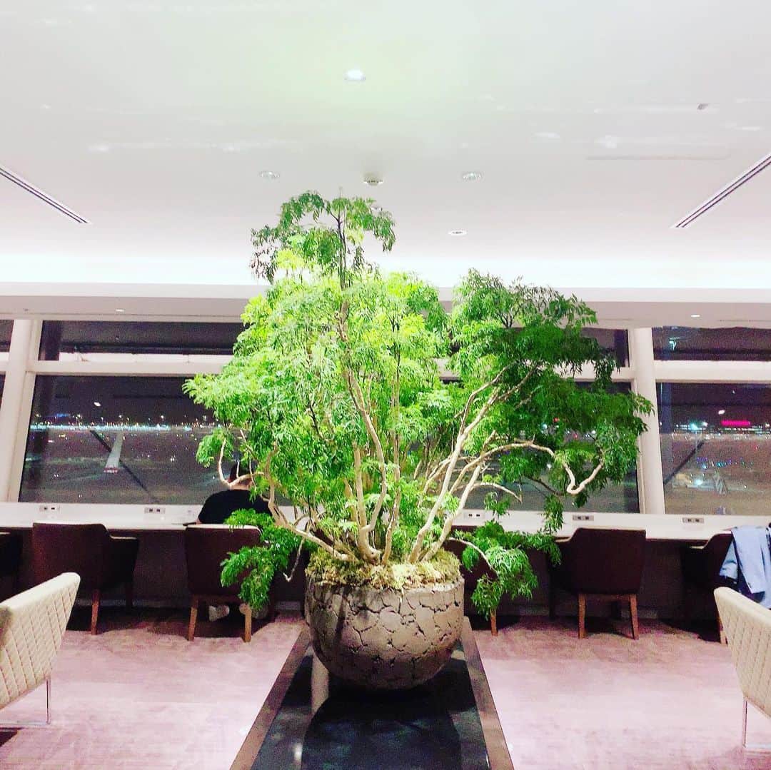 NAOMIのグルメインスタ