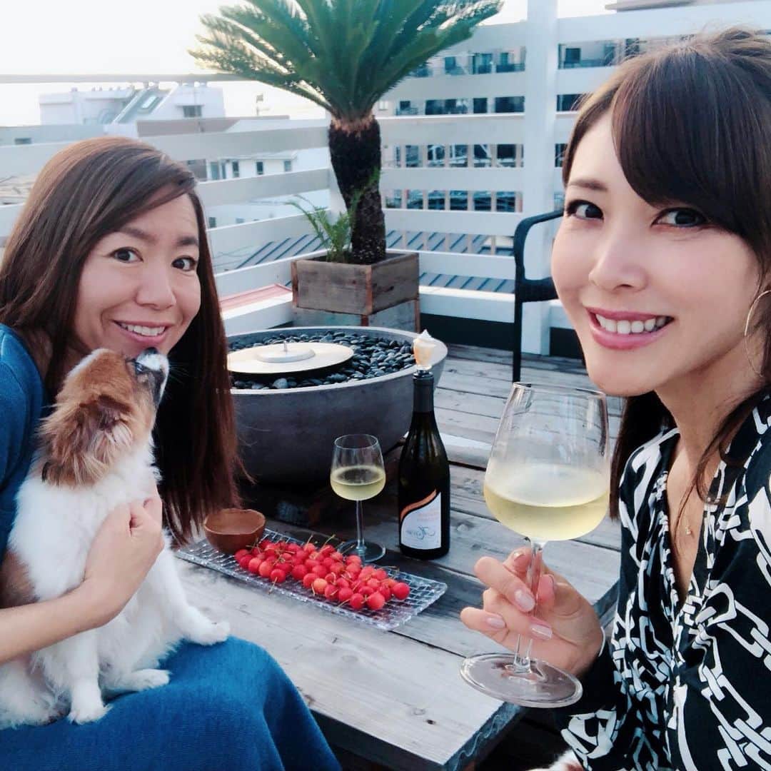 長谷川朋美さんのインスタグラム写真 - (長谷川朋美Instagram)「昨日は#サンディエゴ でお世話になったミチさんが葉山に遊びに来てくれました♡ ・ 葉山とサンディエゴ、なんか似てるんだよなー😆 遊びに行くならLAが好きだけど、住みたいのはサンディエゴ。 ・ ミチさんのおかげでサンディエゴが大好きになったから、葉山も好きになってもらいたくて、 短時間でしたがスペシャルコース🌈 ・ 我が家のルーフトップや、#森戸海岸 、お気に入りのホテル#スケープスザスイート などなど♡ ・ サプライズも喜んでくれて嬉しかった‼︎ ワンコ達とも仲良くしてくれてありがとうございました🌈 ・ #resortlife #わんこ生活 #hayamalife #葉山ライフ #hayama #葉山 #海外暮らし #移住 #おもてなし #サプライズ #サンディエゴ #SanDiego」6月25日 21時40分 - hasegawa.elena.tomomi