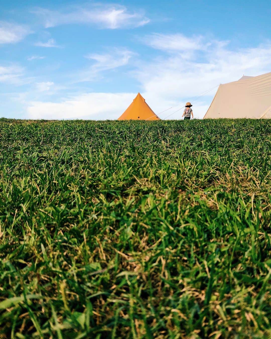 ima_ju / Jun Iのインスタグラム：「. . Summer Stage . . wiz @tokyo_grapher #ShotOn_TG  #ShotoniPhone . ZD WIDE Lens PRO #tg_zdwide_pro . . ::」