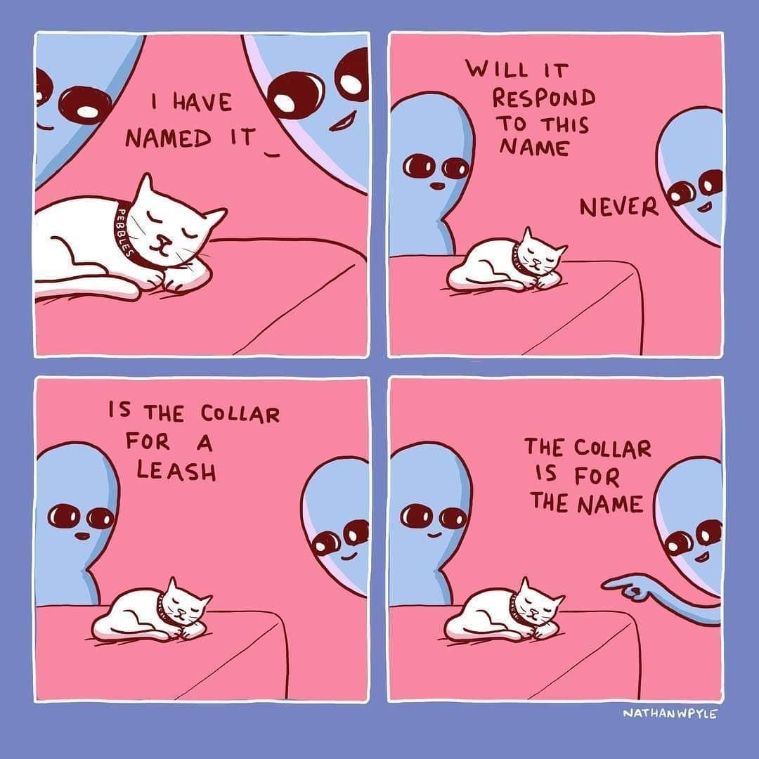 Aww Clubさんのインスタグラム写真 - (Aww ClubInstagram)「I only respond when I'm hungry ⠀ ⠀ ✍🏼@nathanwpylestrangeplanet by @nathanwpyle ⠀ ⠀ #meowed #doodles #9gagmeowdle #nathanwpylestrangeplanet #catcomic #meowedcomic #thechosenone」6月25日 22時01分 - meowed