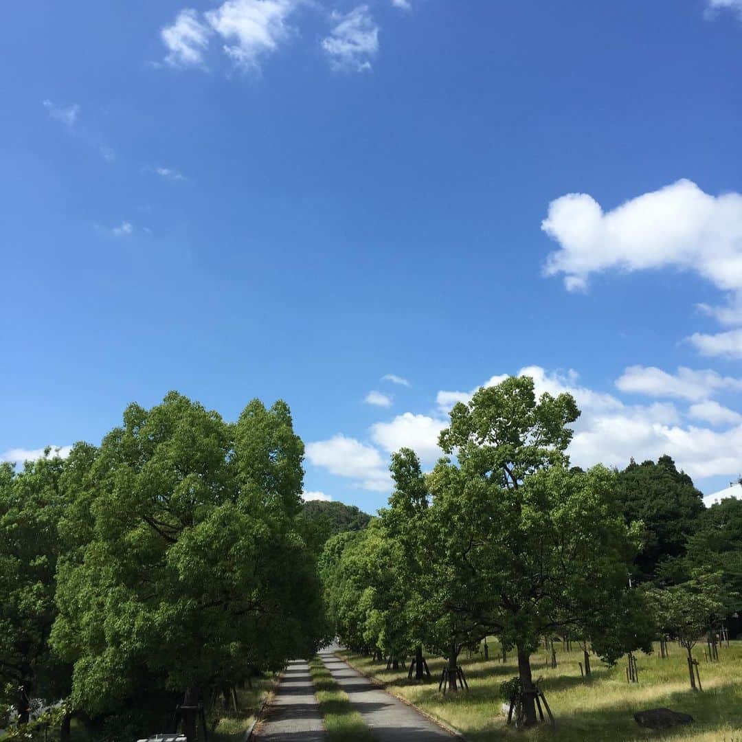岸田繁さんのインスタグラム写真 - (岸田繁Instagram)「梅雨入りしてほしくない完璧な光」6月25日 22時06分 - kishidashigeru